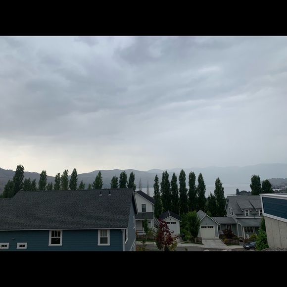 Meet your Posher, Ruby - Picture 1 of 1